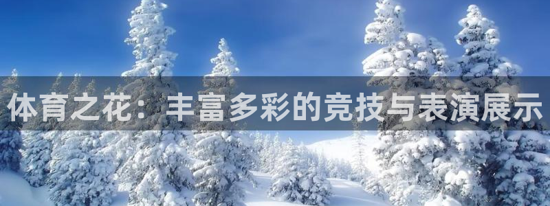 哈哈体育十年：体育之花：丰富多彩的竞技与表演展示