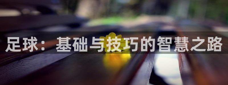 哈哈体育：足球：基础与技巧的智慧之路