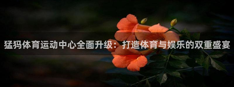 哈哈体育下载：猛犸体育运动中心全面升级：打造体育与娱乐的双重盛宴