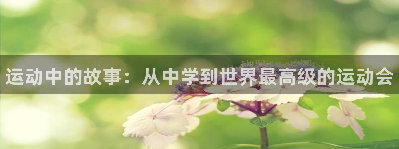 哈哈体育十年：运动中的故事：从中学到世界最高级的运动会