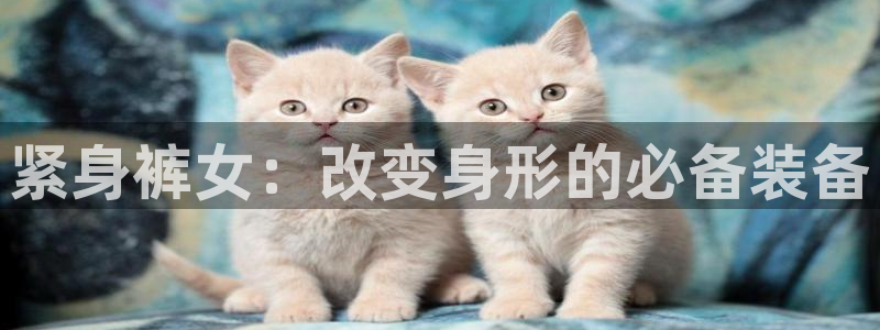 哈哈体育下载：紧身裤女：改变身形的必备装备