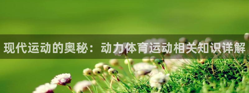 哈哈体育十年：现代运动的奥秘：动力体育运动相关知识详解