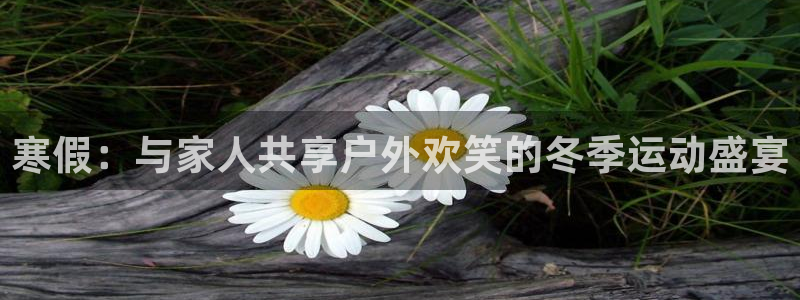 哈哈体育十年：寒假：与家人共享户外欢笑的冬季运动盛宴