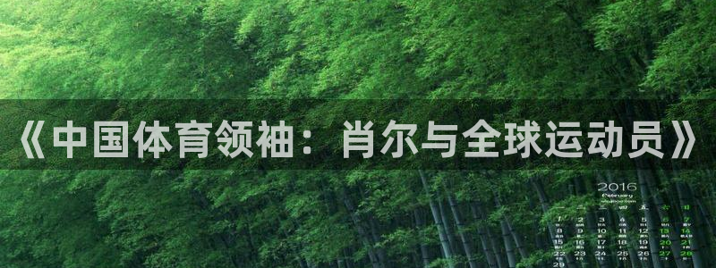 哈哈体育十年：《中国体育领袖：肖尔与全球运动员》