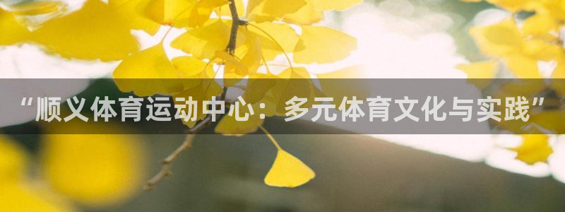 哈哈体育十年：“顺义体育运动中心：多元体育文化与实践”