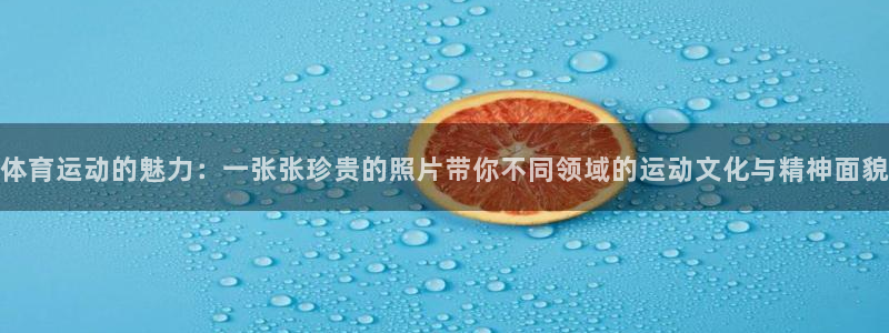 哈哈体育：体育运动的魅力：一张张珍贵的照片带你不同领域的运动文化与精神面貌