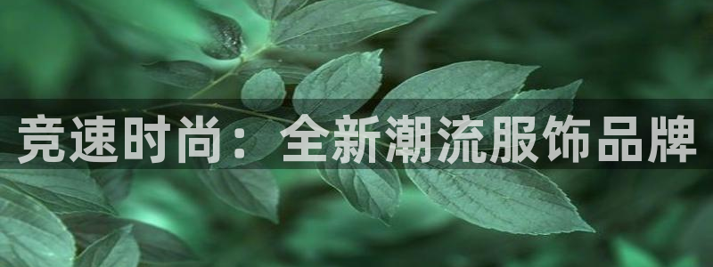 哈哈体育十年：竞速时尚：全新潮流服饰品牌