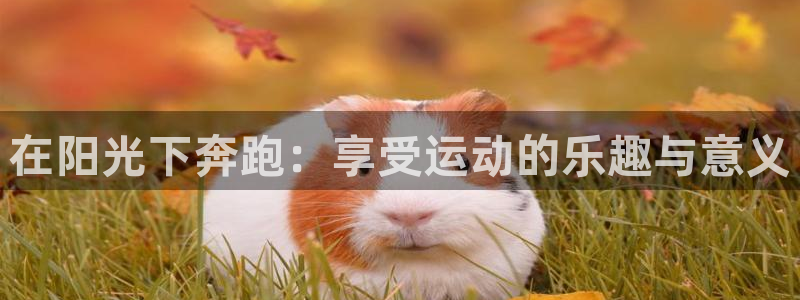 哈哈体育下载：在阳光下奔跑：享受运动的乐趣与意义