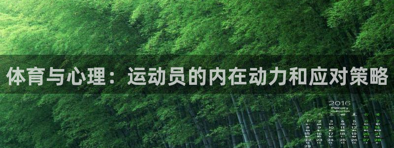 哈哈体育：体育与心理：运动员的内在动力和应对策略